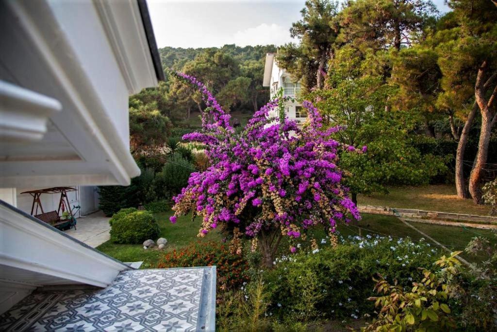 Triada Hotel Bueyuekada Adalar Luaran gambar